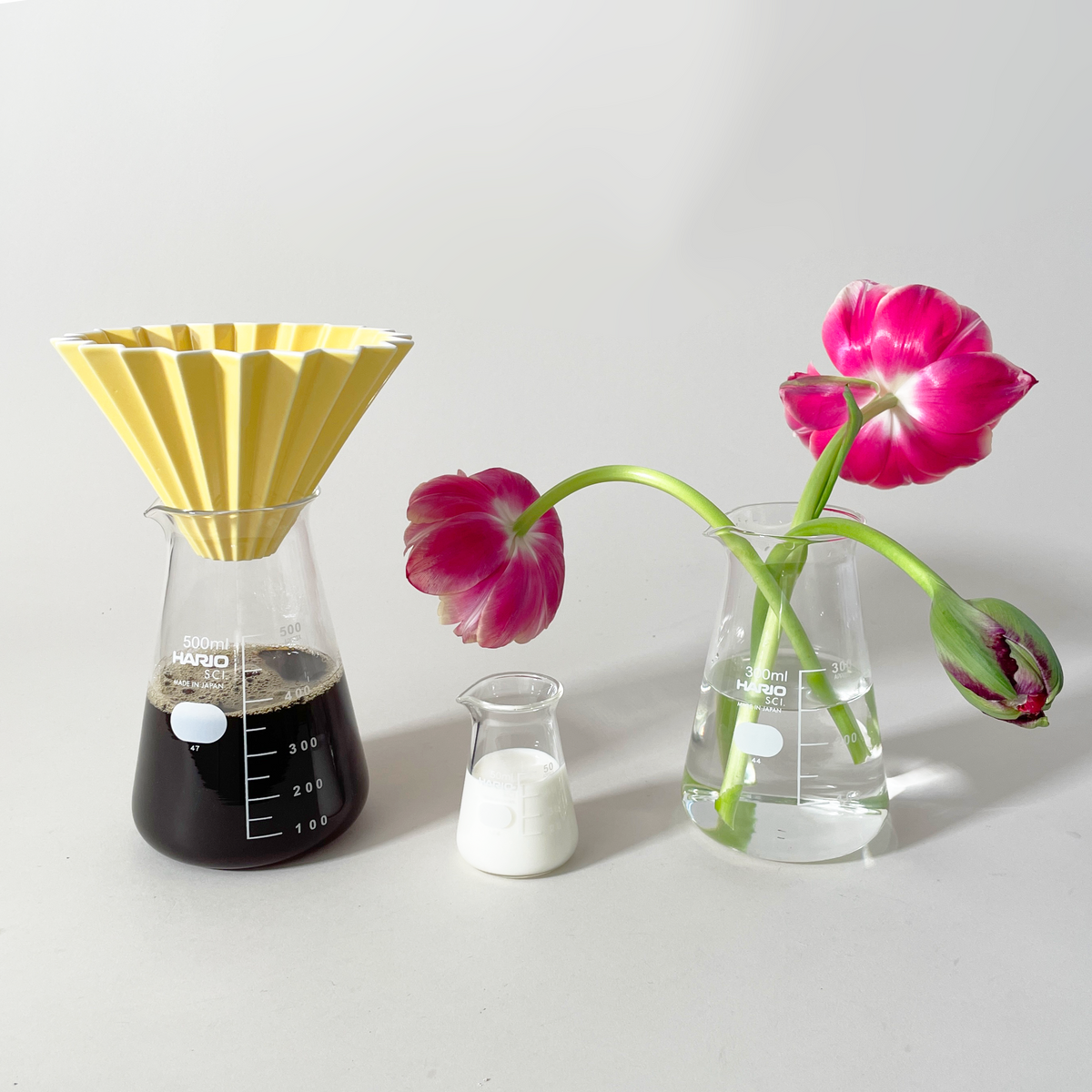 HARIO Conical Glass Beaker – Heatproof, Ergonomic Design – R&D Goods