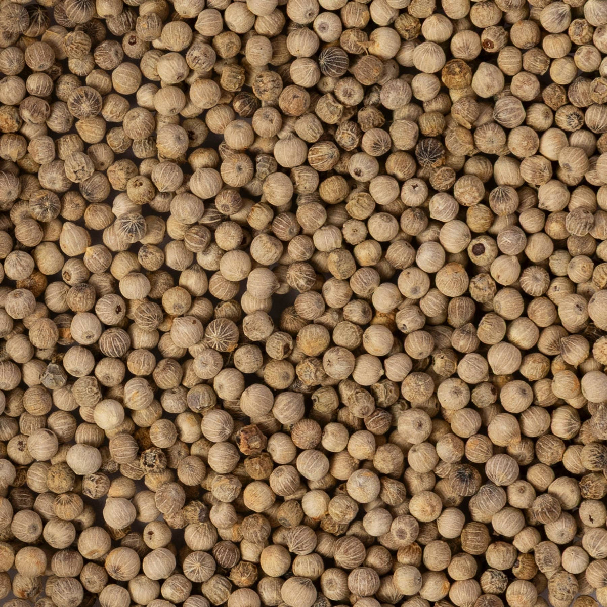 Whole White Peppercorns