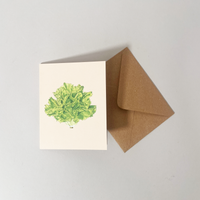 Produce Greeting Cards