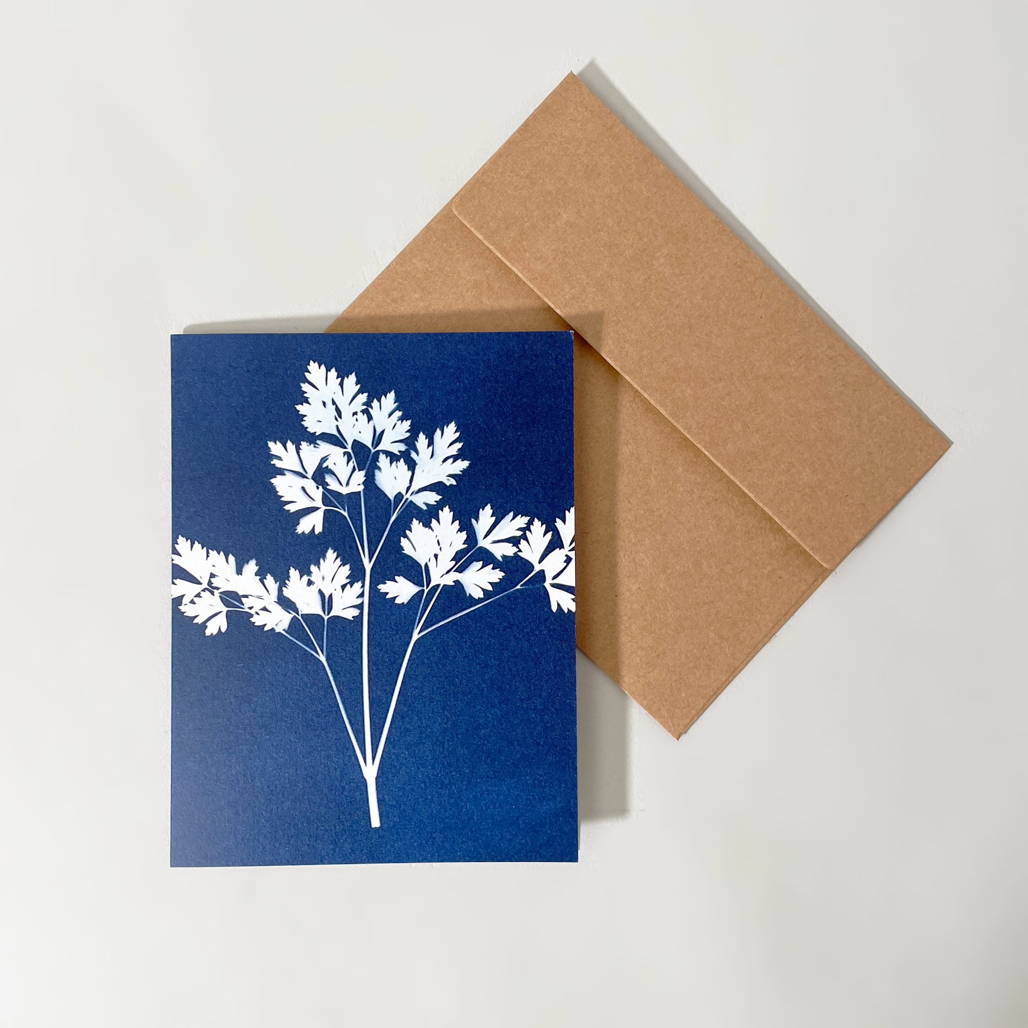 Botanical Cyanotype Card