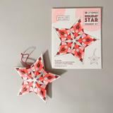 DIY Ornament Kit