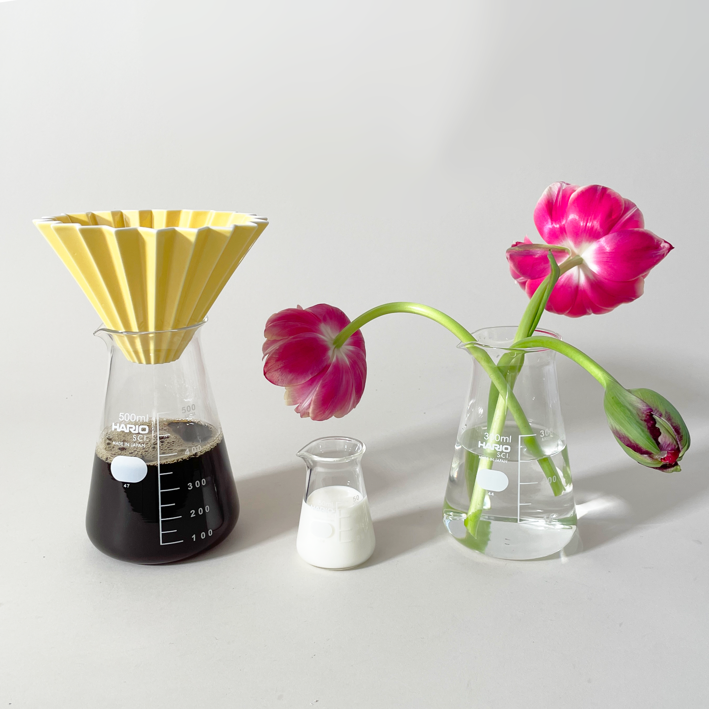 HARIO Conical Glass Beakers
