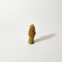 Beeswax Morel Mushroom Candles