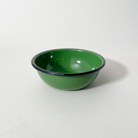 Utilitario Mexicano Enamelware Salad Bowl, Nopal Green