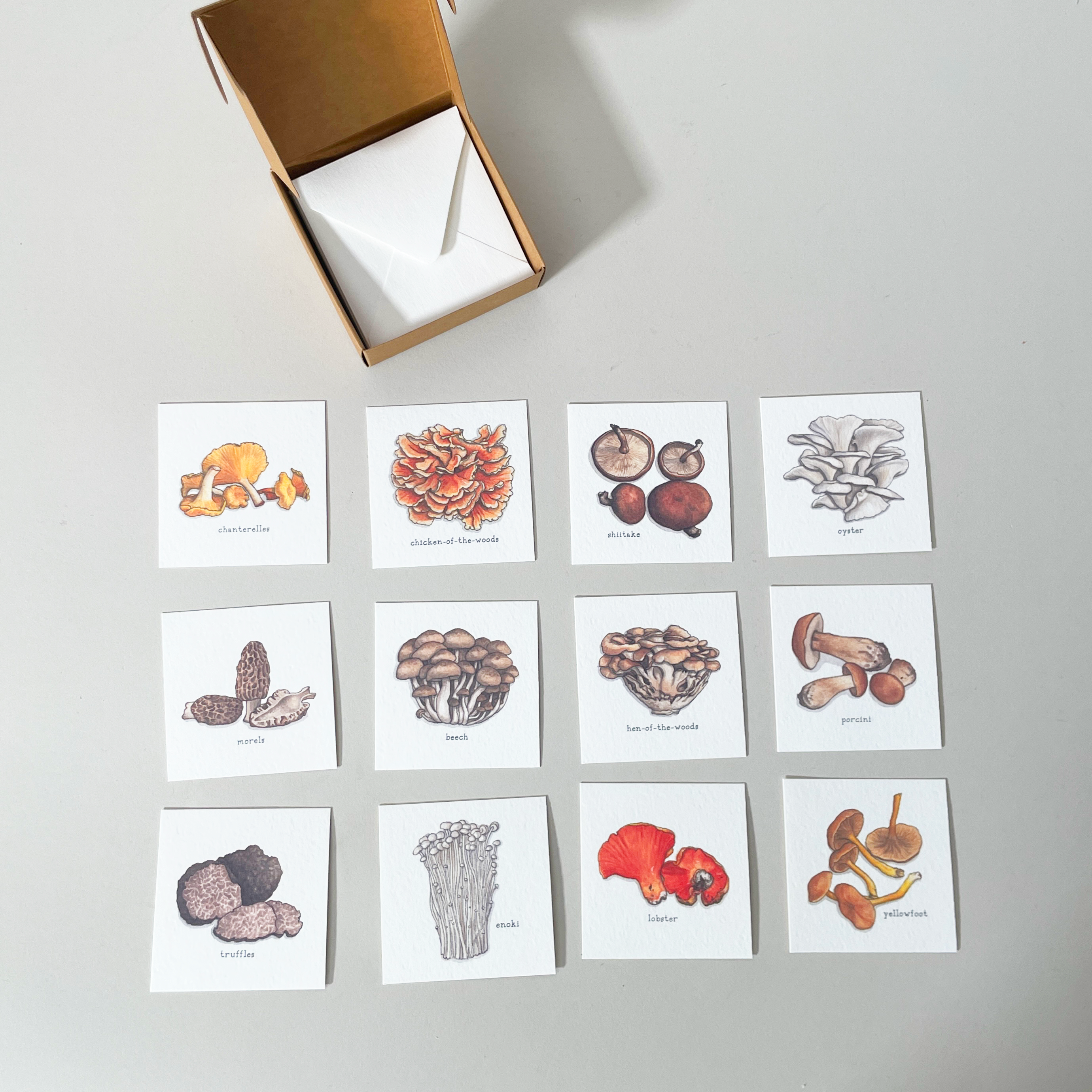 Mini Cards & Envelopes Set